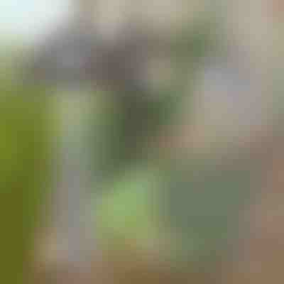 Kerti kapa a gyomok könnyű eltávolításához | GRASSOE