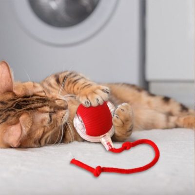 Érintésre mozgó kisállat játék | GATOPLAY