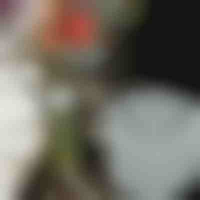 Virágtartók lenyűgöző összeállításokhoz (3db) | VASEKA