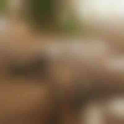 Mágneses öntapadós kábelrendező (12 darab) | CABLIP